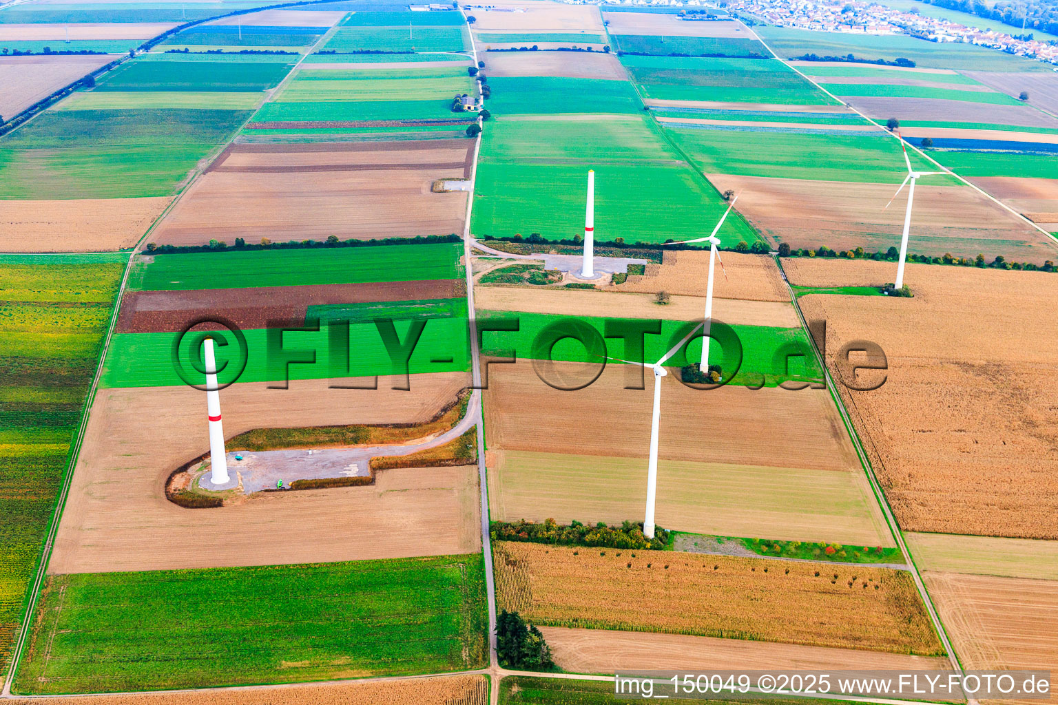 Vue aérienne de Modernisation du parc éolien Minfeld à Minfeld dans le département Rhénanie-Palatinat, Allemagne