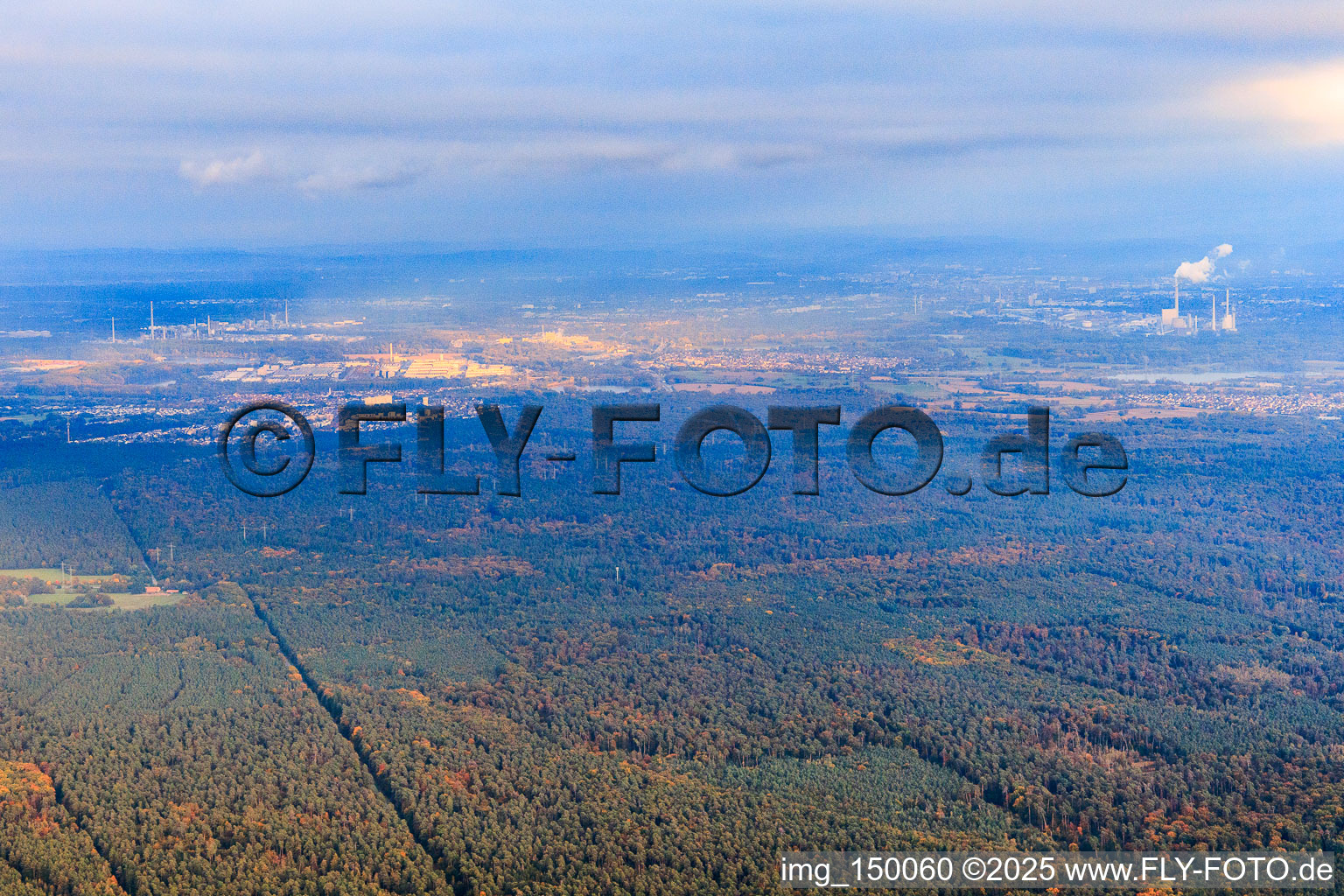 Vue aérienne de Bienwald du nord-ouest à le quartier Büchelberg in Wörth am Rhein dans le département Rhénanie-Palatinat, Allemagne