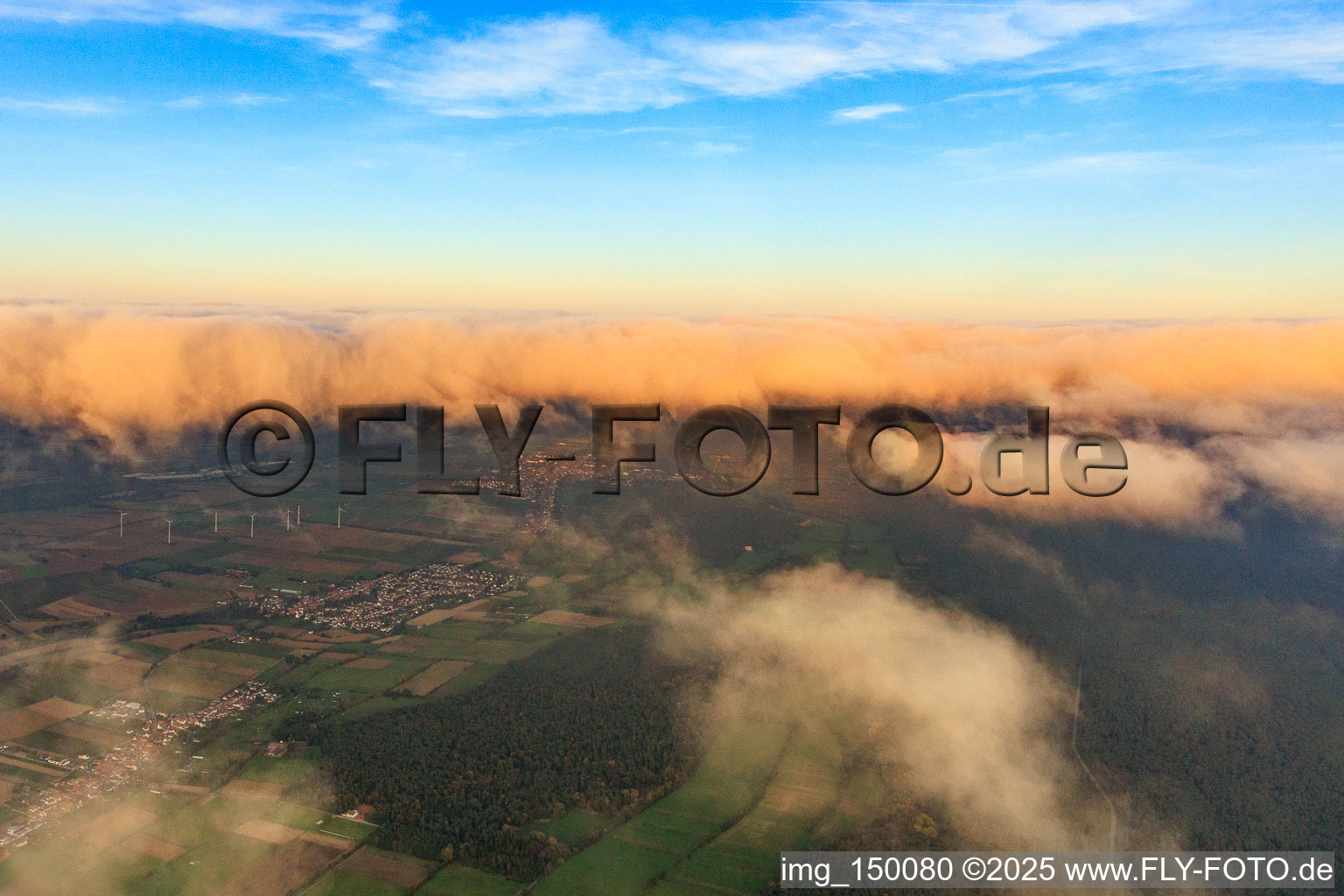 Vue aérienne de Conduite de bétail sous les nuages en soirée, venant de l'ouest à Minfeld dans le département Rhénanie-Palatinat, Allemagne
