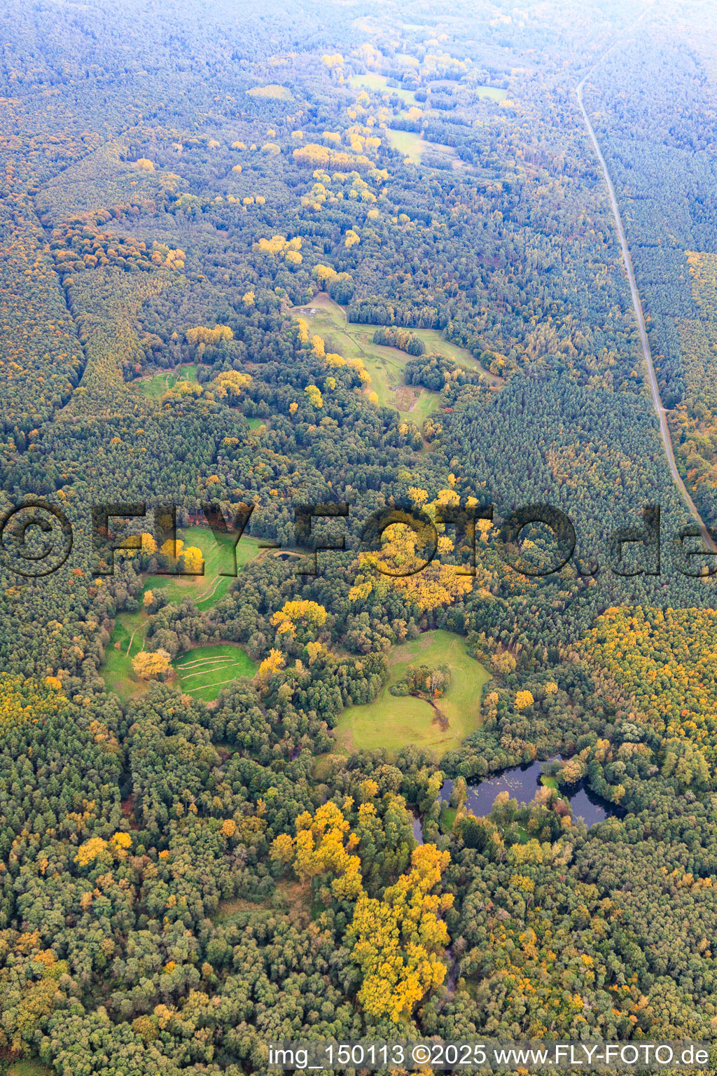 Vue aérienne de Lautertal dans la forêt de Bienwald à la frontière franco-allemande à Schweighofen dans le département Rhénanie-Palatinat, Allemagne