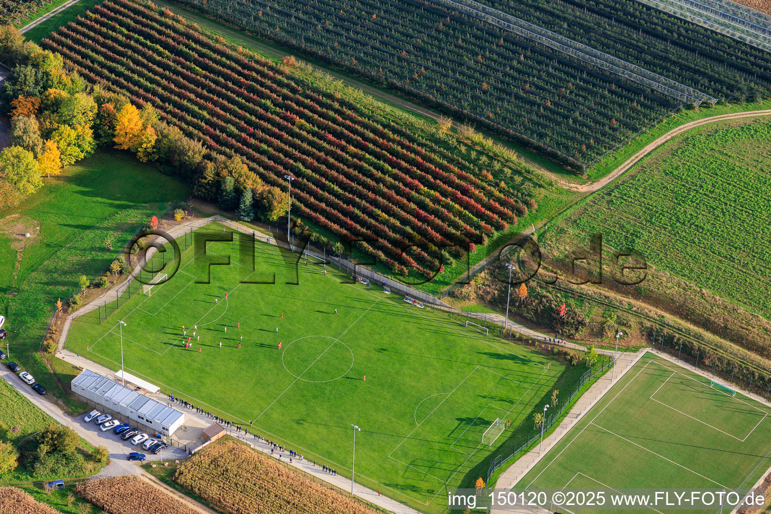 Vue aérienne de Stade Municipal - AS Seebach à Seebach dans le département Bas Rhin, France