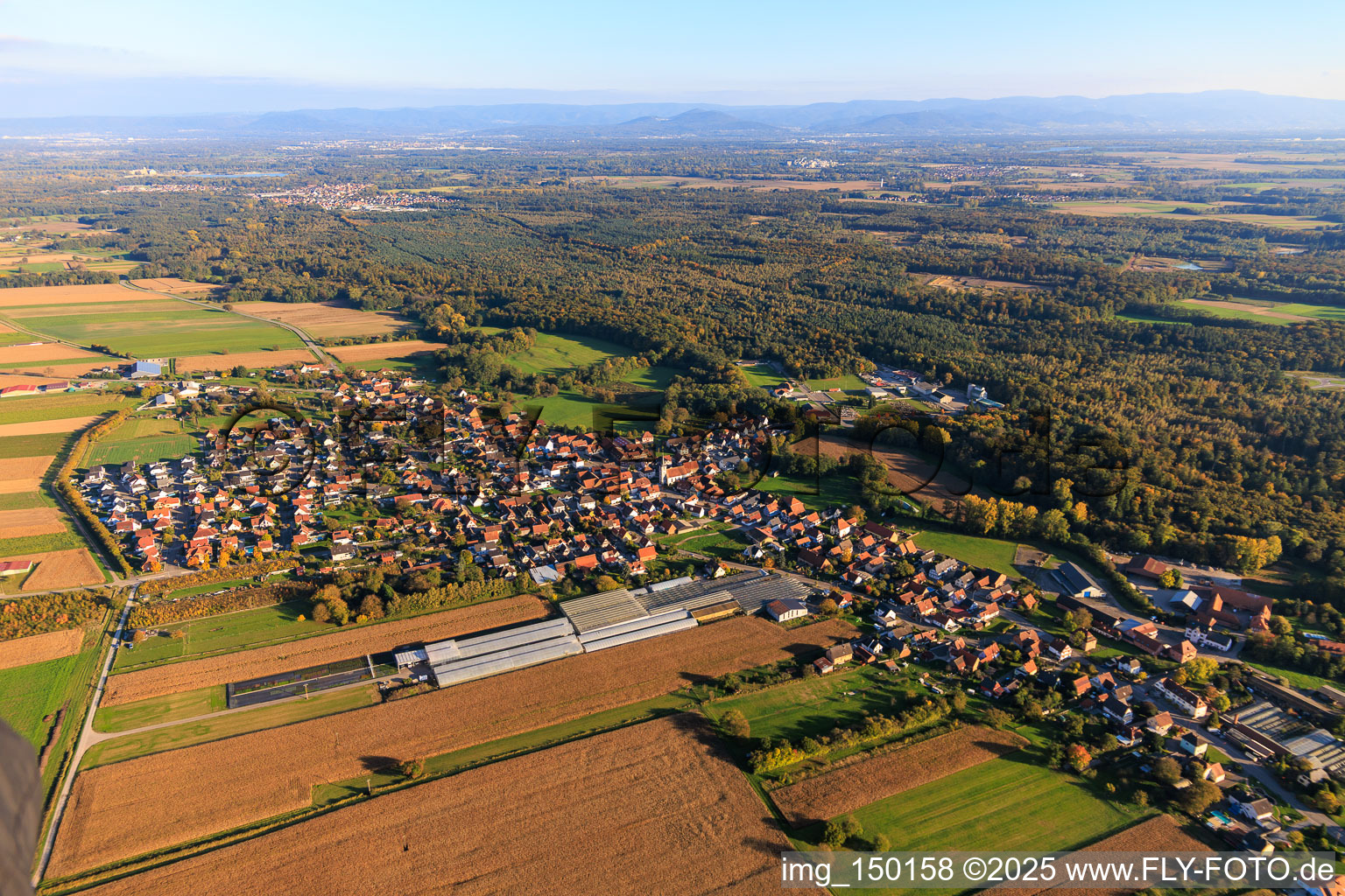Vue aérienne de De l'ouest à Niederrœdern dans le département Bas Rhin, France