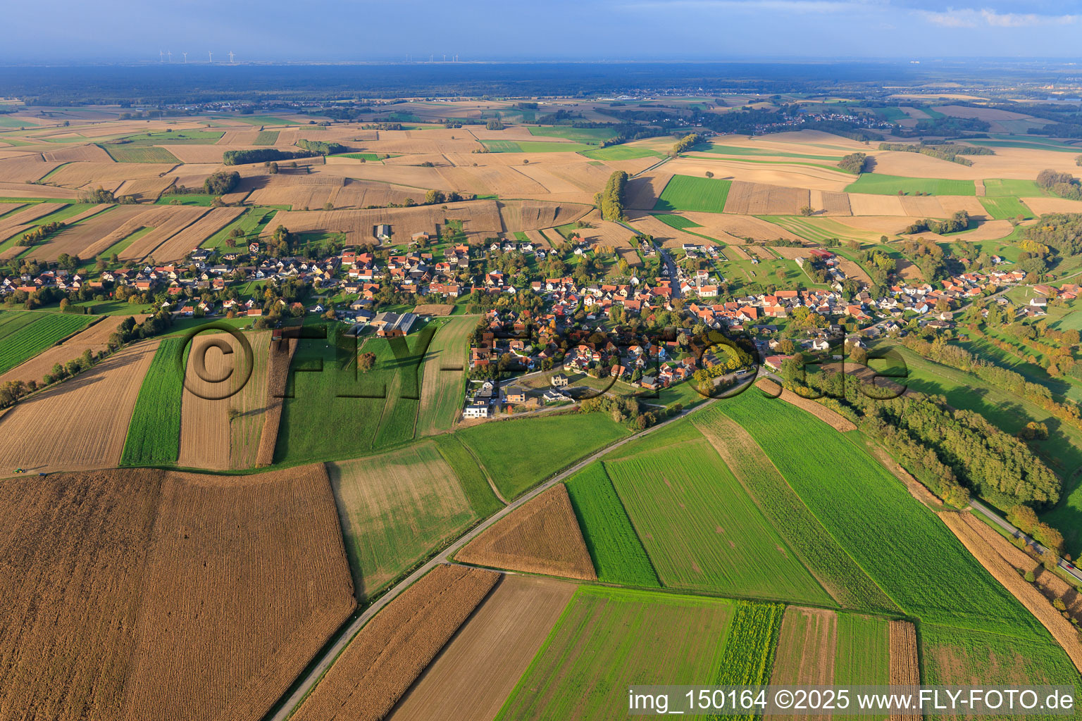 Vue aérienne de Du sud à Wintzenbach dans le département Bas Rhin, France