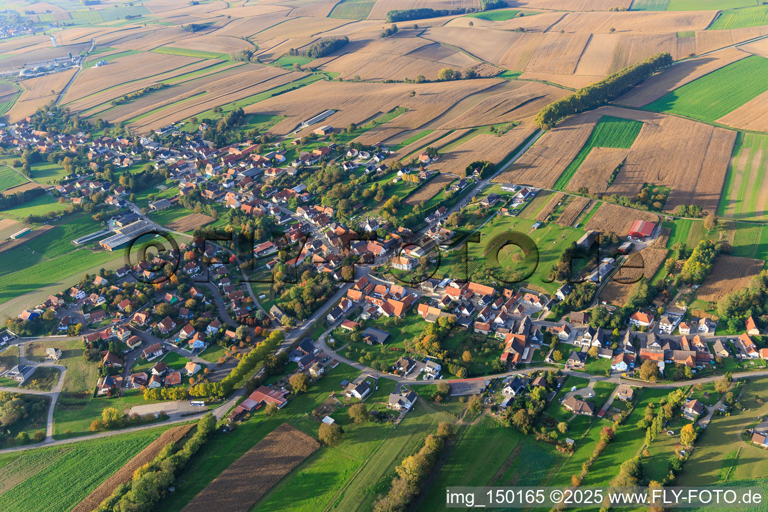 Vue aérienne de Du sud-est à Wintzenbach dans le département Bas Rhin, France