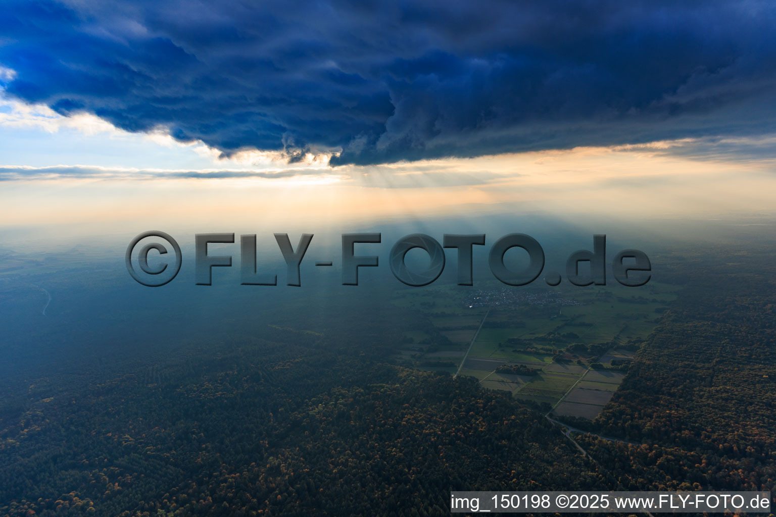 Vue aérienne de Bienwald en contre-jour à le quartier Büchelberg in Wörth am Rhein dans le département Rhénanie-Palatinat, Allemagne