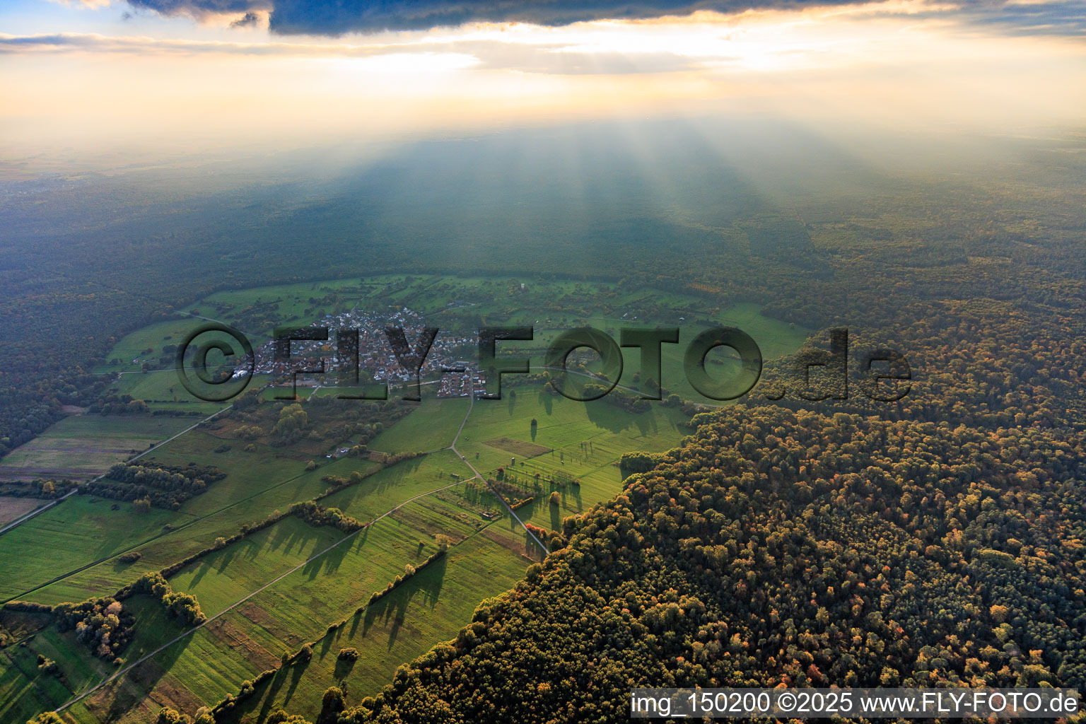 Vue aérienne de Lieu : clairière dans la forêt de Bienwald, contre-jour à le quartier Büchelberg in Wörth am Rhein dans le département Rhénanie-Palatinat, Allemagne