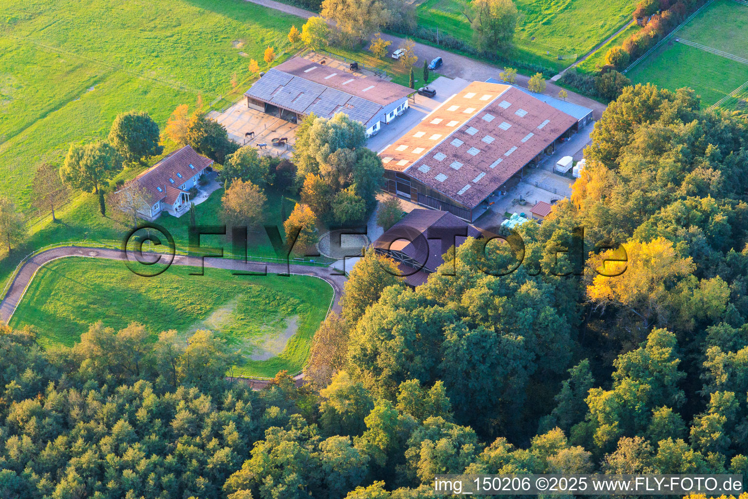 Photographie aérienne de Haras islandais de Bienwald à Freckenfeld dans le département Rhénanie-Palatinat, Allemagne