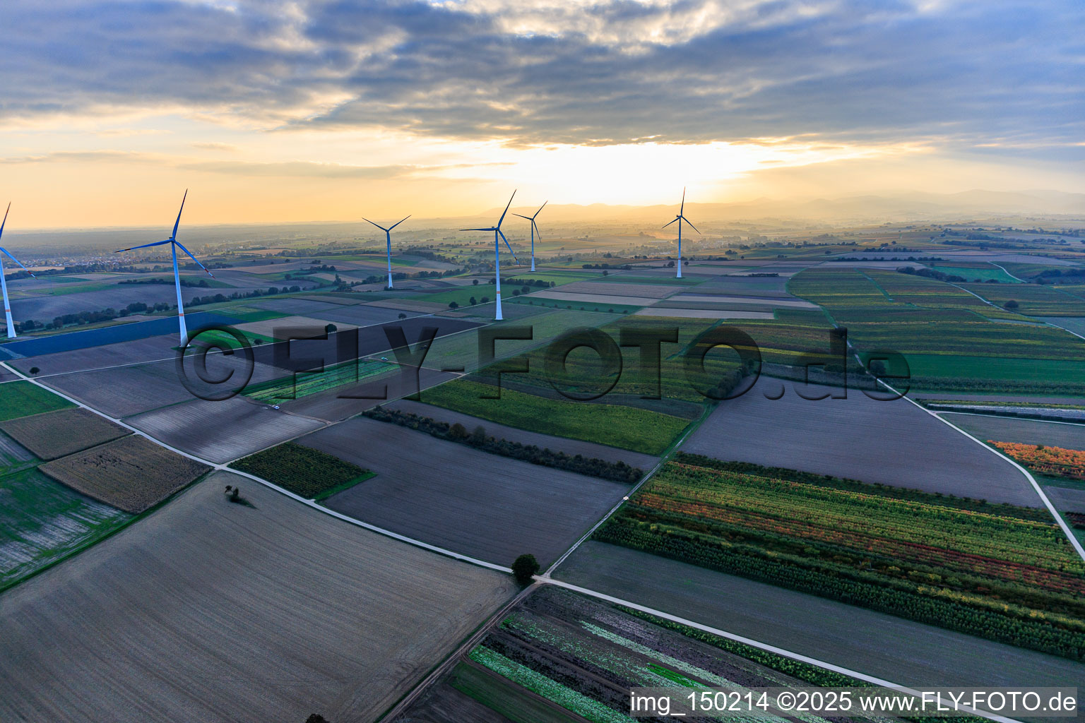 Photographie aérienne de Parc éolien Freckenfeld dans la lumière du soir venant de l'ouest à Freckenfeld dans le département Rhénanie-Palatinat, Allemagne