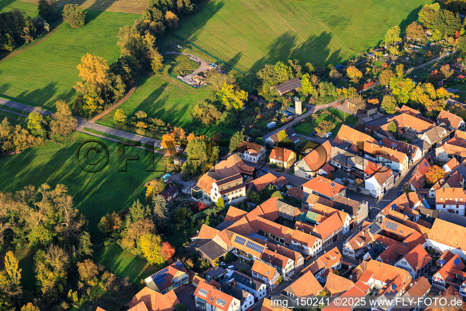 Vue aérienne de Rue principale x ruelle supérieure à Steinweiler dans le département Rhénanie-Palatinat, Allemagne