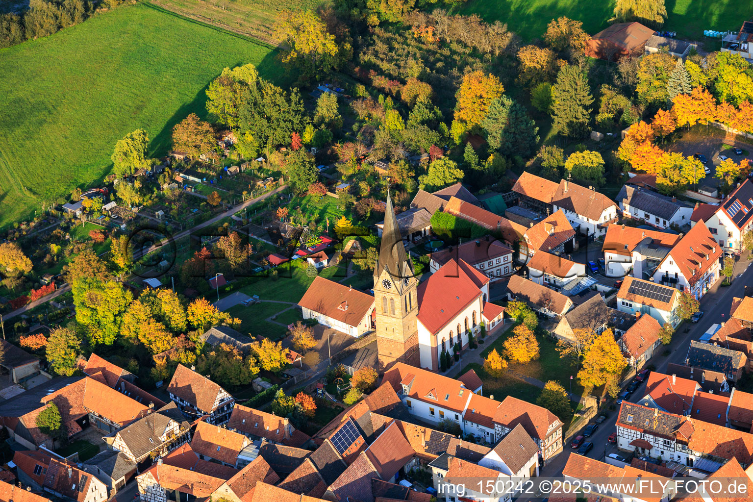 Vue aérienne de Église Saint-Martin à Steinweiler dans le département Rhénanie-Palatinat, Allemagne