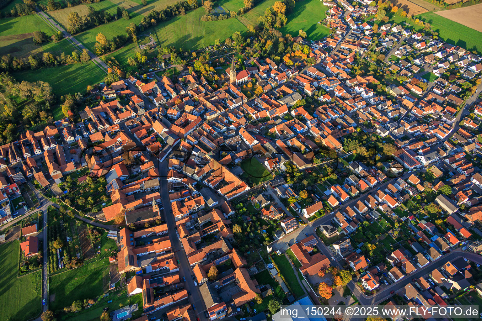 Vue aérienne de Kreuzgasse, Gartenstr à Steinweiler dans le département Rhénanie-Palatinat, Allemagne