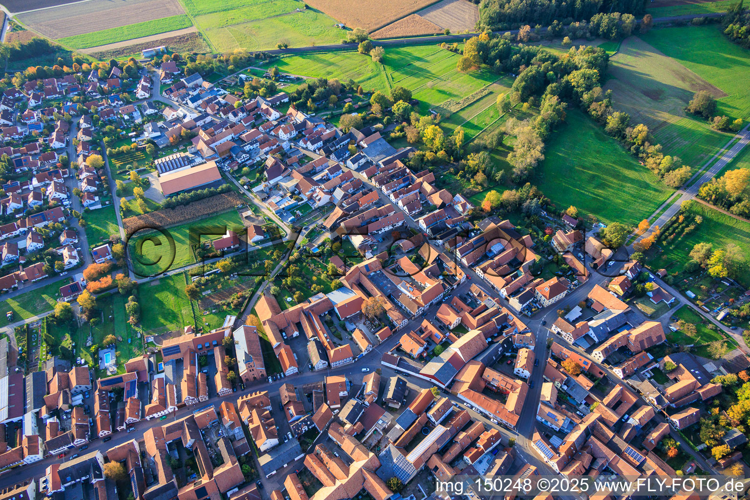 Photographie aérienne de Obergasse à Steinweiler dans le département Rhénanie-Palatinat, Allemagne