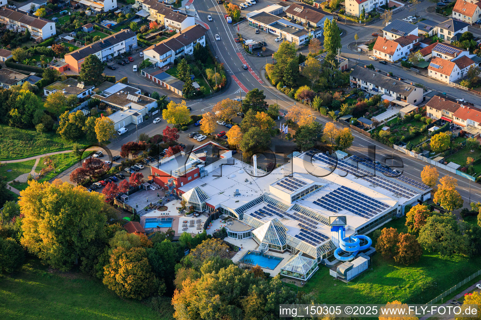 Vue aérienne de Piscine de loisirs LA OLA à le quartier Queichheim in Landau in der Pfalz dans le département Rhénanie-Palatinat, Allemagne