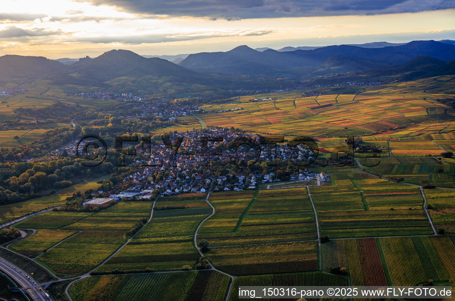 Vue aérienne de Vue du village au milieu d'une mer de vignes, vue de l'est en fin de journée d'automne. à le quartier Godramstein in Landau in der Pfalz dans le département Rhénanie-Palatinat, Allemagne