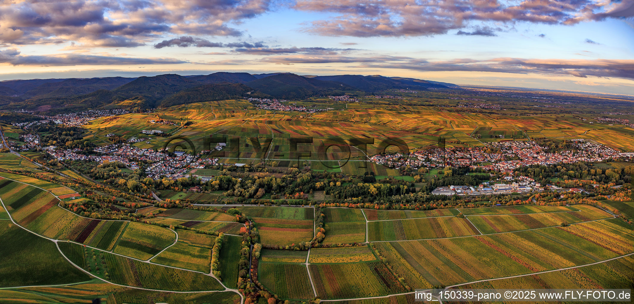 Vue aérienne de Une mer de vignes aux couleurs automnales entre Godramstein et Frankweiler à Siebeldingen dans le département Rhénanie-Palatinat, Allemagne