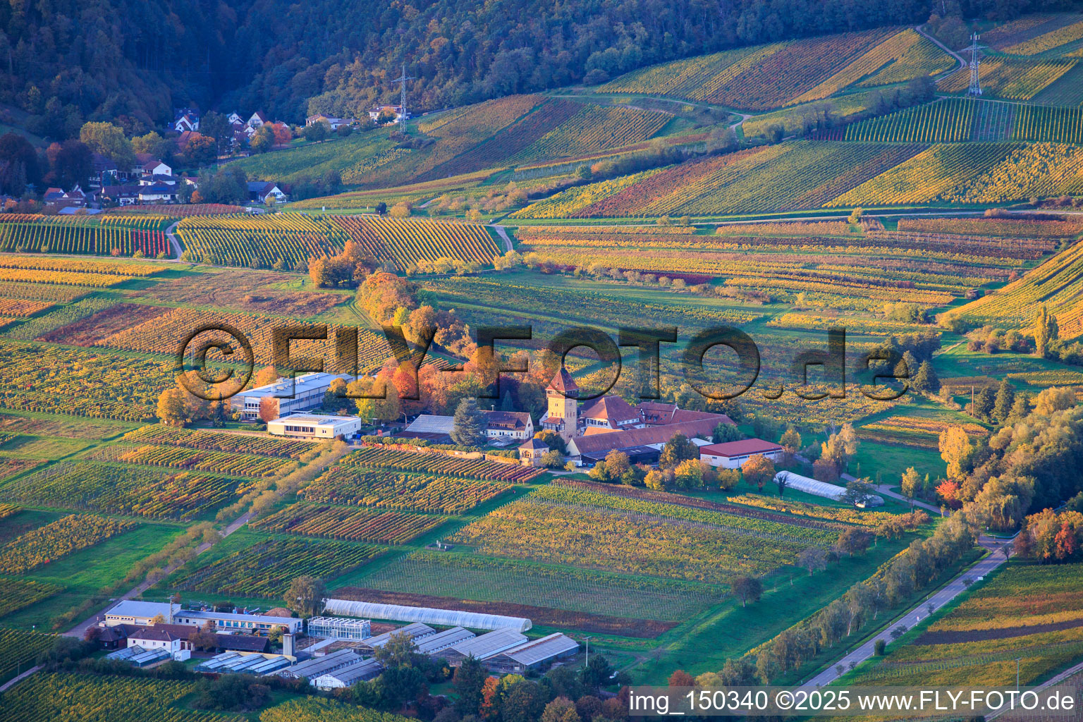 Vue aérienne de Institut JKI pour l'amélioration de la vigne Geilweilerhof et Institut des sciences de l'environnement à Siebeldingen dans le département Rhénanie-Palatinat, Allemagne