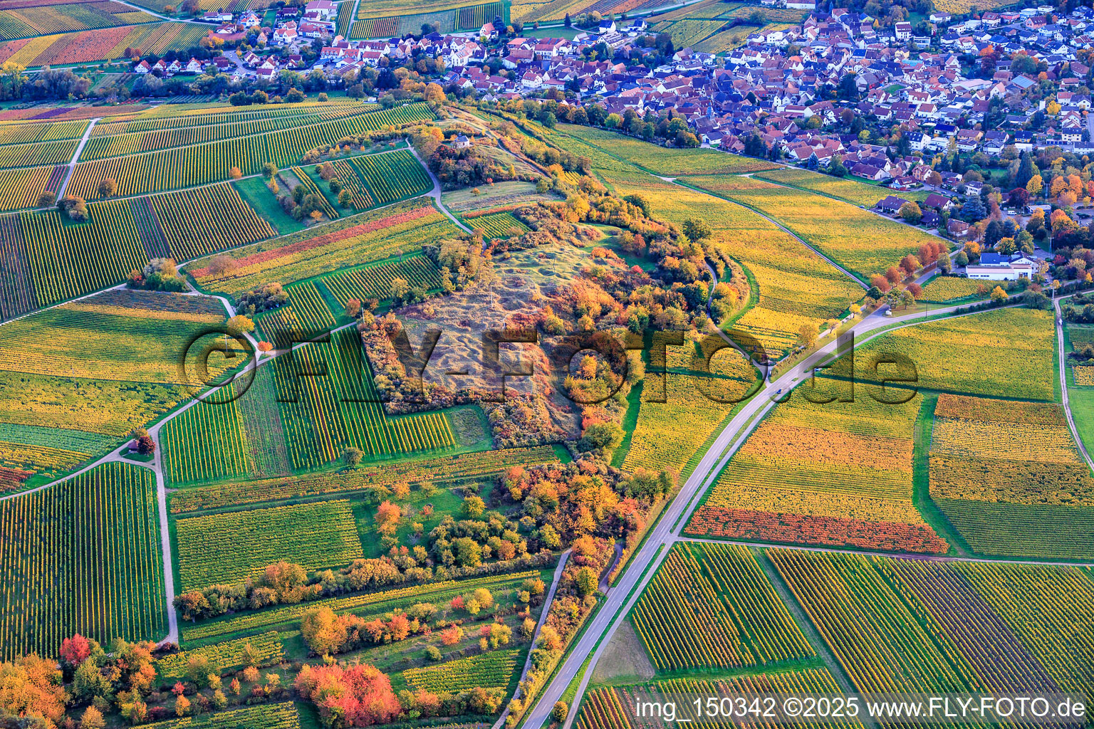 Vue aérienne de Réserve naturelle "Kleine Kalmit" à le quartier Arzheim in Landau in der Pfalz dans le département Rhénanie-Palatinat, Allemagne