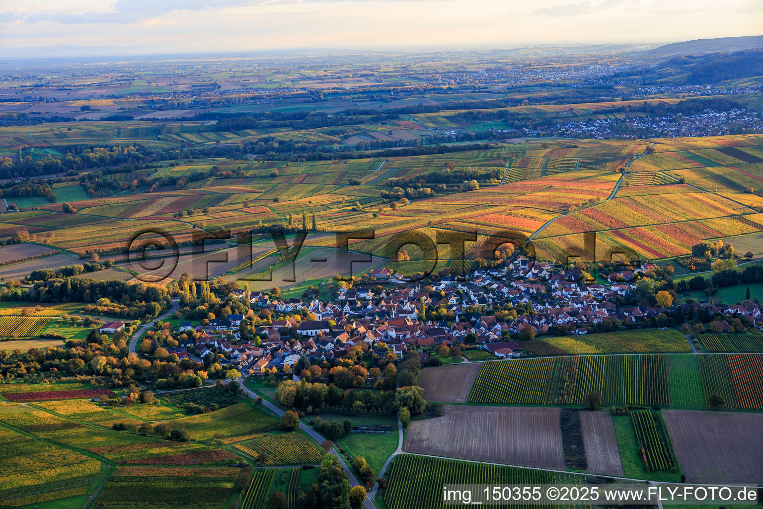 Vue aérienne de Du nord à Göcklingen dans le département Rhénanie-Palatinat, Allemagne