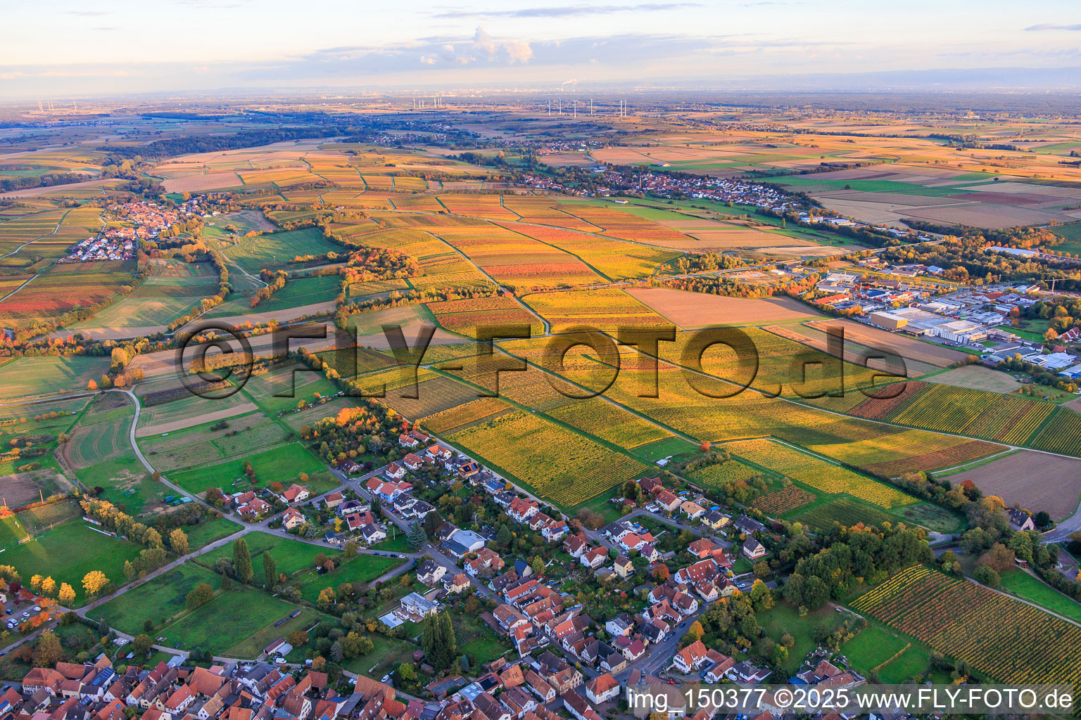 Vue aérienne de Les vignobles s'embrasent de couleurs automnales entre Niederhorbach et Kappellen-Drusweiler à Niederhorbach dans le département Rhénanie-Palatinat, Allemagne