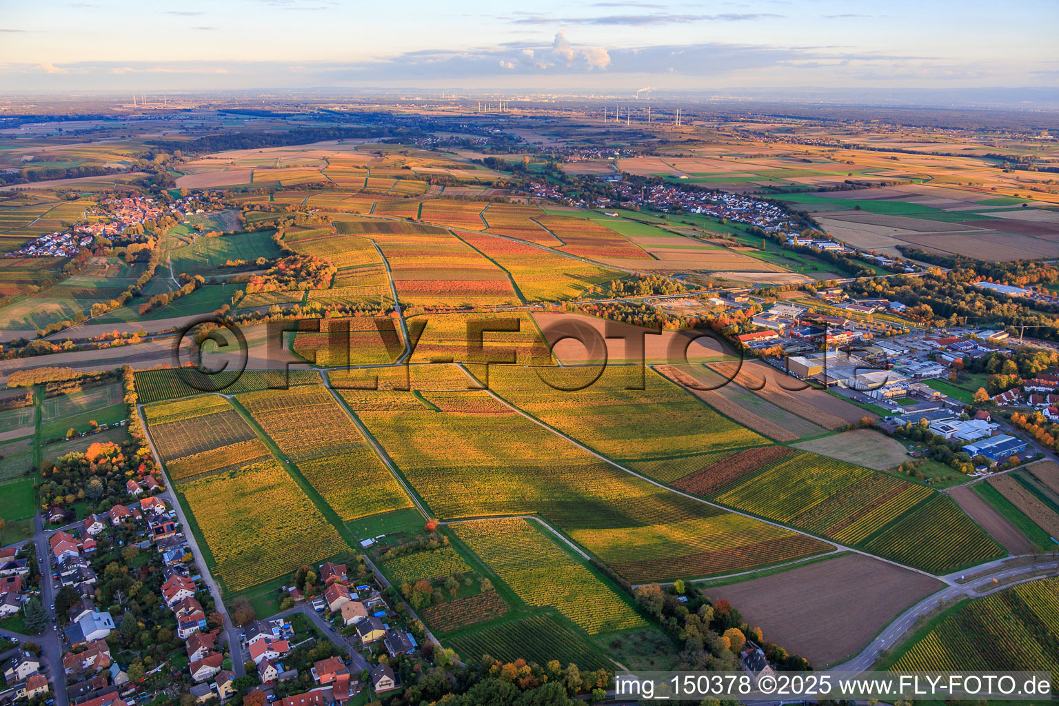 Vue aérienne de Les vignobles s'embrasent de couleurs automnales entre Niederhorbach et Kappellen-Drusweiler à Niederhorbach dans le département Rhénanie-Palatinat, Allemagne