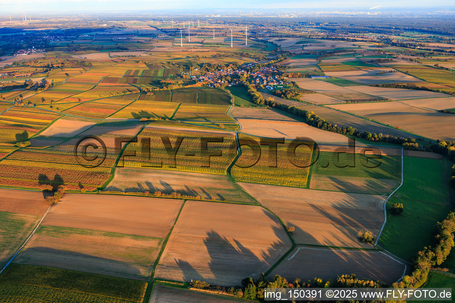 Vue oblique de Vignobles aux couleurs automnales entre Dierbach et Oberhausen à Oberhausen dans le département Rhénanie-Palatinat, Allemagne
