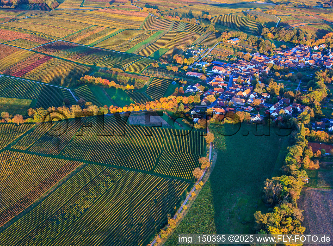 Vue aérienne de Allée en feuilles d'automne à Dierbach dans le département Rhénanie-Palatinat, Allemagne