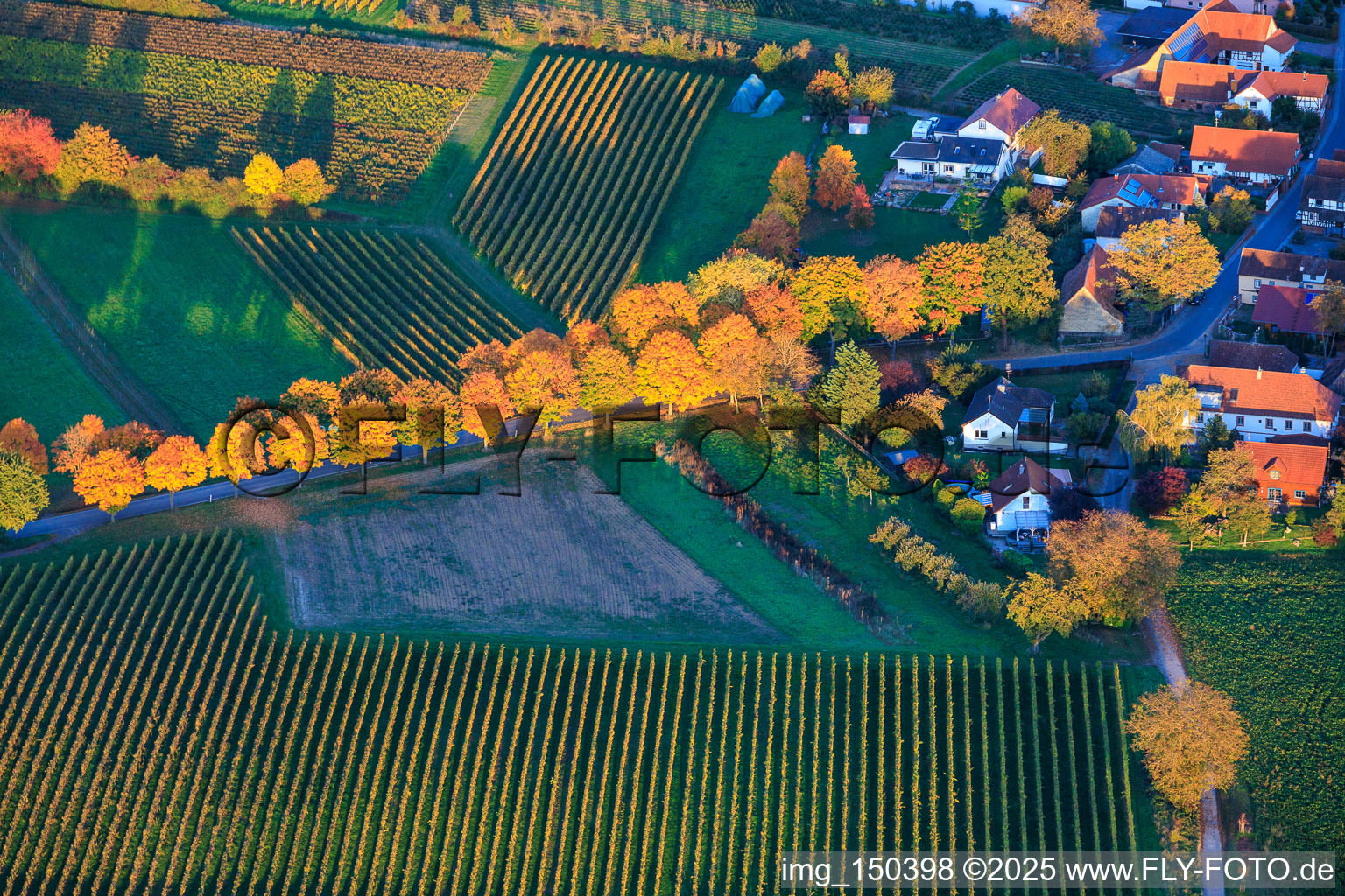 Vue aérienne de Allée en feuilles d'automne à Dierbach dans le département Rhénanie-Palatinat, Allemagne