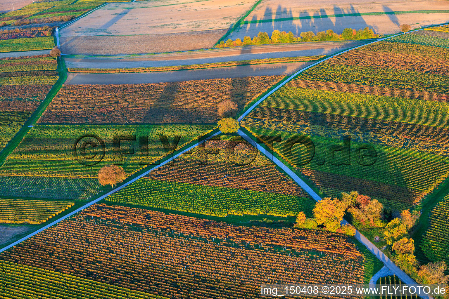 Vue aérienne de Les vignobles s'embrasent de couleurs automnales le soir entre Dierbach et Barbelroth à Dierbach dans le département Rhénanie-Palatinat, Allemagne
