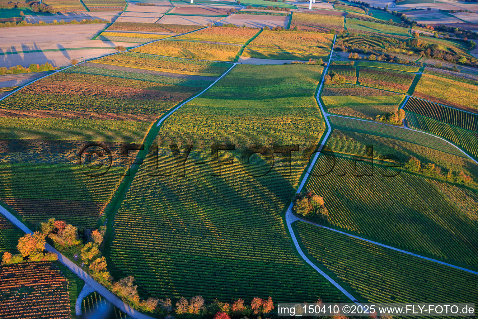 Vue aérienne de Les vignobles se parent de couleurs automnales en soirée entre Dierbach et Hergersweiler à Dierbach dans le département Rhénanie-Palatinat, Allemagne