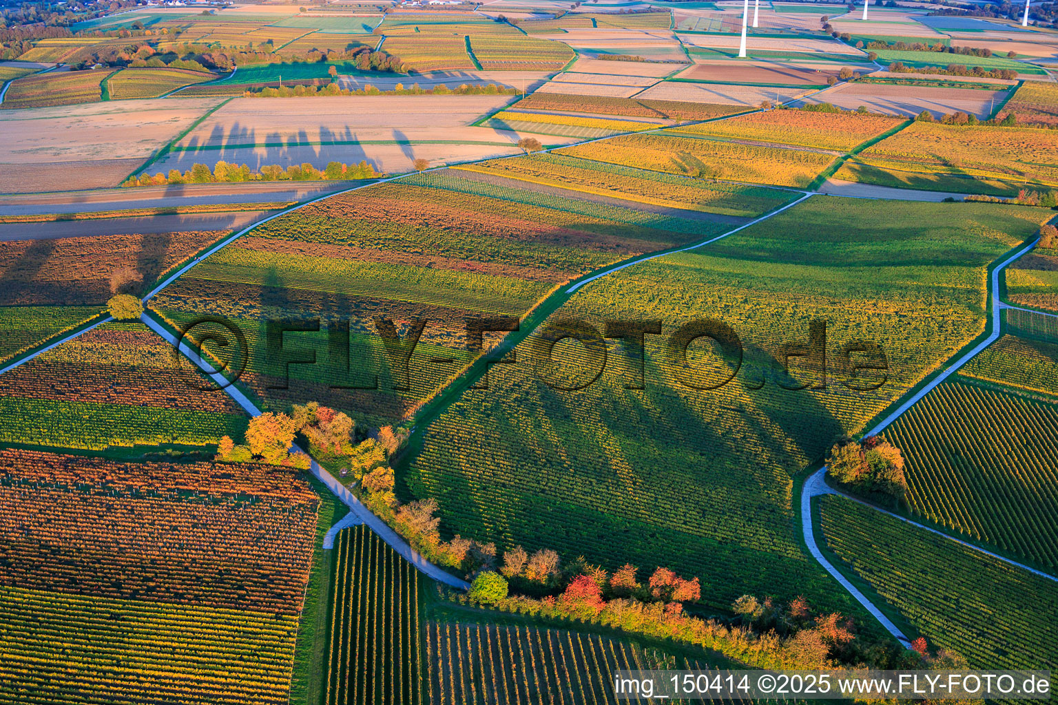 Vue aérienne de Les vignobles s'embrasent de couleurs automnales entre Dierbach et Hergersweiler à Dierbach dans le département Rhénanie-Palatinat, Allemagne