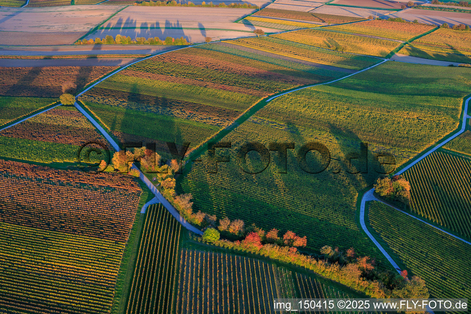 Vue aérienne de Les vignobles s'embrasent de couleurs automnales entre Dierbach et Hergersweiler à Dierbach dans le département Rhénanie-Palatinat, Allemagne
