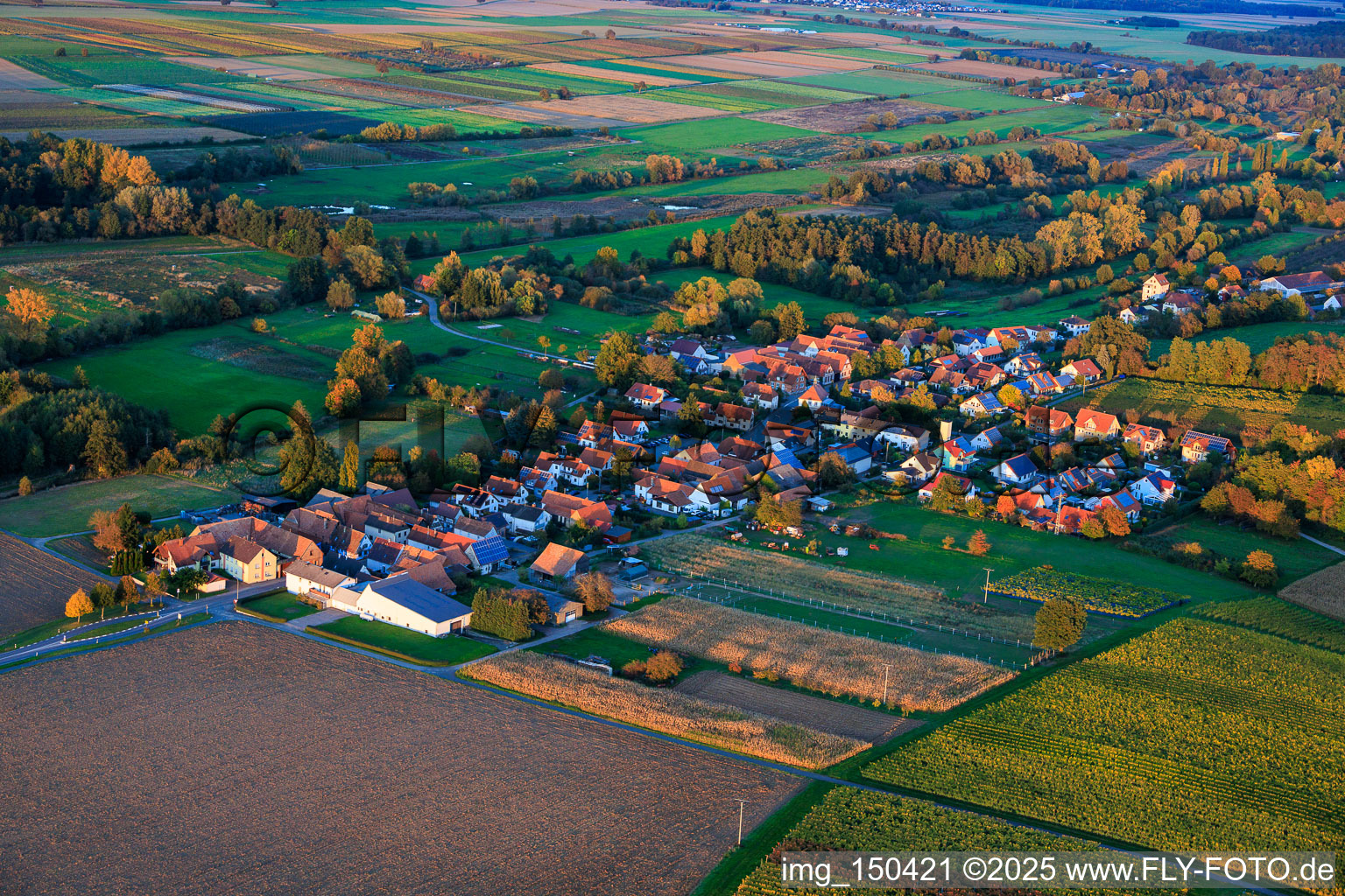 Vue aérienne de Du sud-ouest à Hergersweiler dans le département Rhénanie-Palatinat, Allemagne