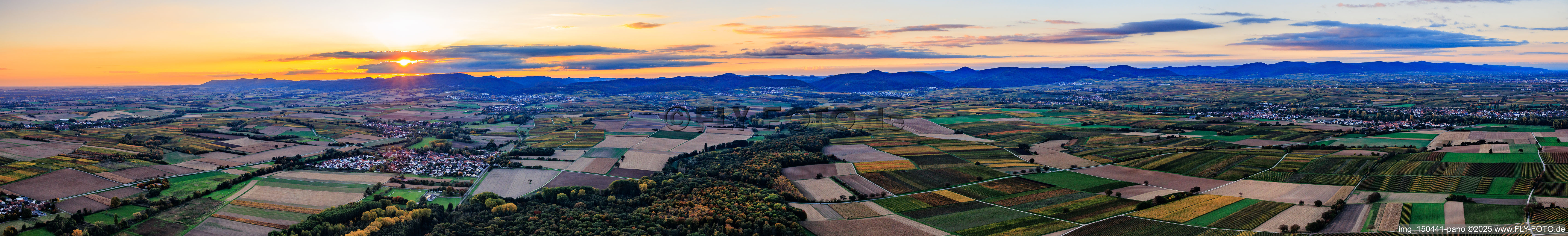 Vue aérienne de Panorama des monts Haardt sur la route des vins du sud, en soirée, de Wissembourg à Landau. à le quartier Mühlhofen in Billigheim-Ingenheim dans le département Rhénanie-Palatinat, Allemagne
