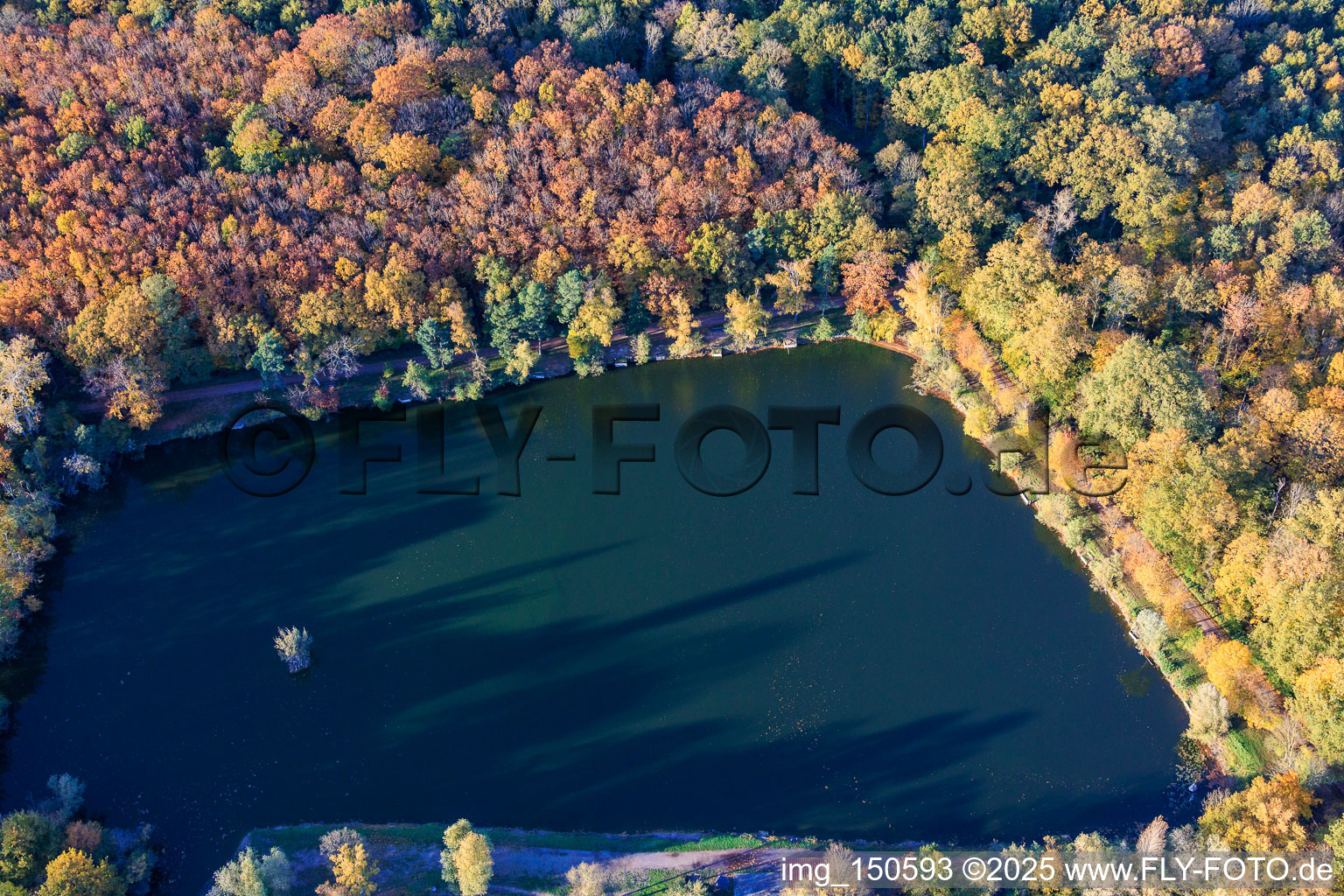Photographie aérienne de Lac de l'Ours à Ottersheim bei Landau dans le département Rhénanie-Palatinat, Allemagne