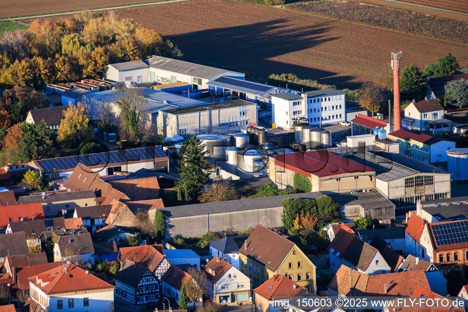 Vue aérienne de Löwen-Brennerei GmbH, Weingut Johler GbR et Gabriele Bönicke - Transport & Trading à le quartier Niederlustadt in Lustadt dans le département Rhénanie-Palatinat, Allemagne