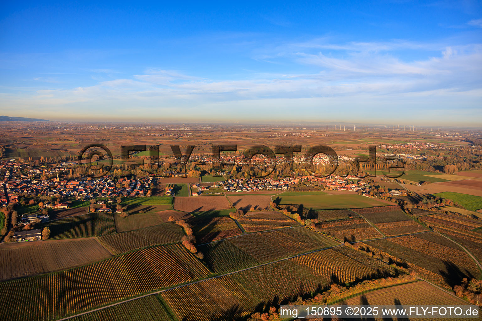 Photographie aérienne de Du sud-ouest à le quartier Ingenheim in Billigheim-Ingenheim dans le département Rhénanie-Palatinat, Allemagne