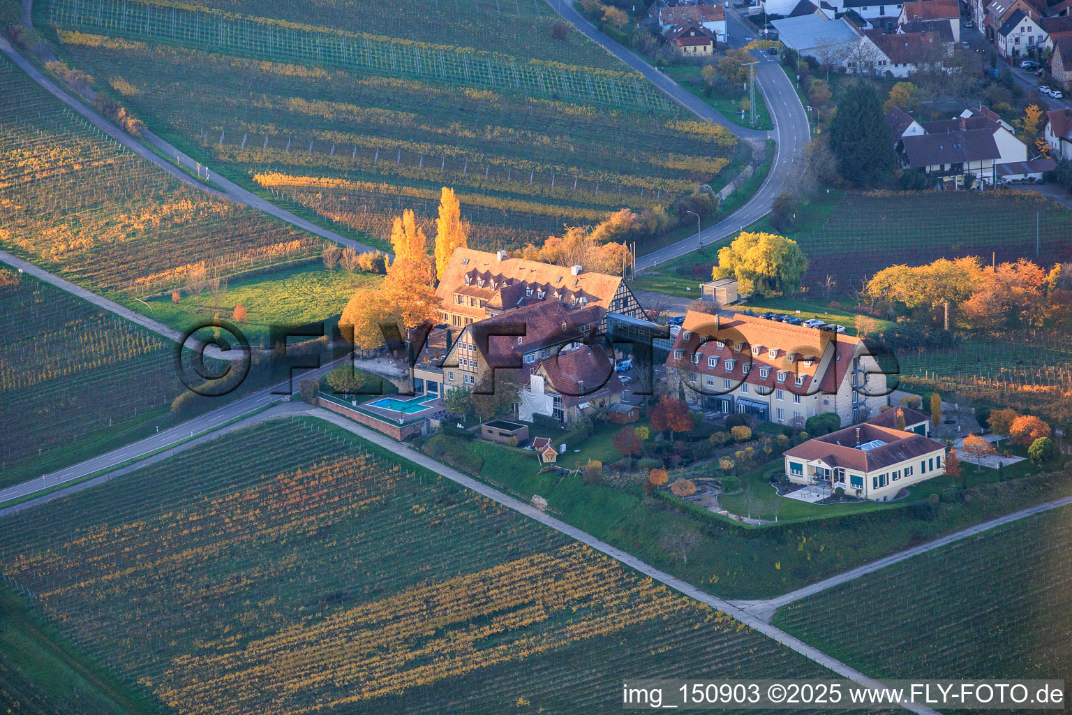 Vue aérienne de Leinsweilerhof en automne à Leinsweiler dans le département Rhénanie-Palatinat, Allemagne