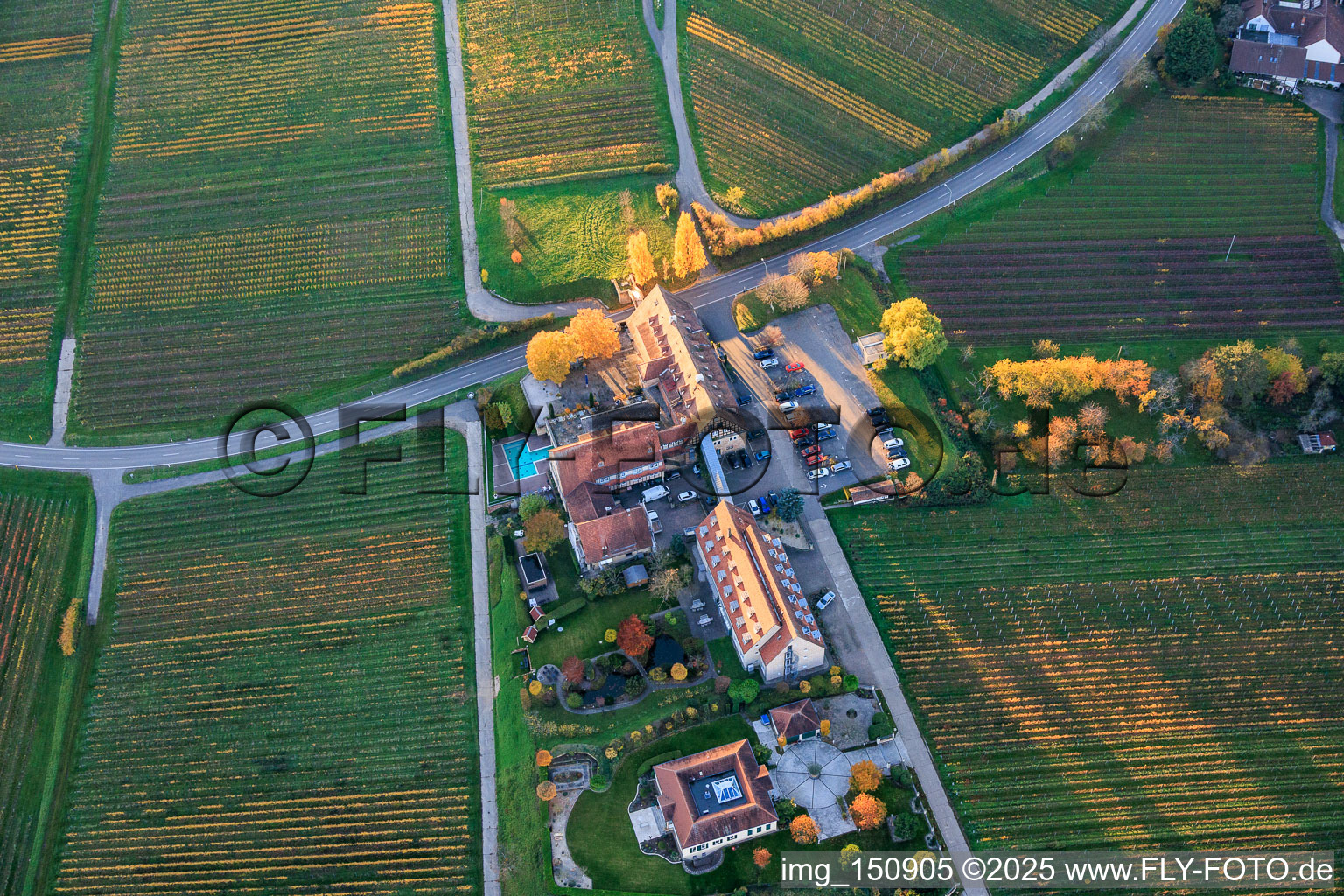 Vue aérienne de Leinsweilerhof en automne à Leinsweiler dans le département Rhénanie-Palatinat, Allemagne