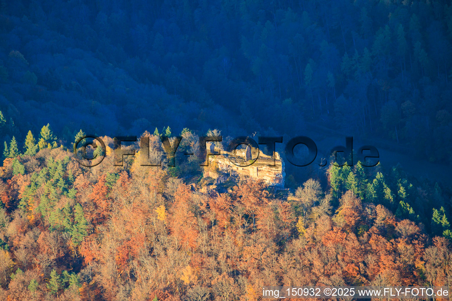 Vue aérienne de Ruines du château de Meisteresel dans la forêt automnale à Ramberg dans le département Rhénanie-Palatinat, Allemagne