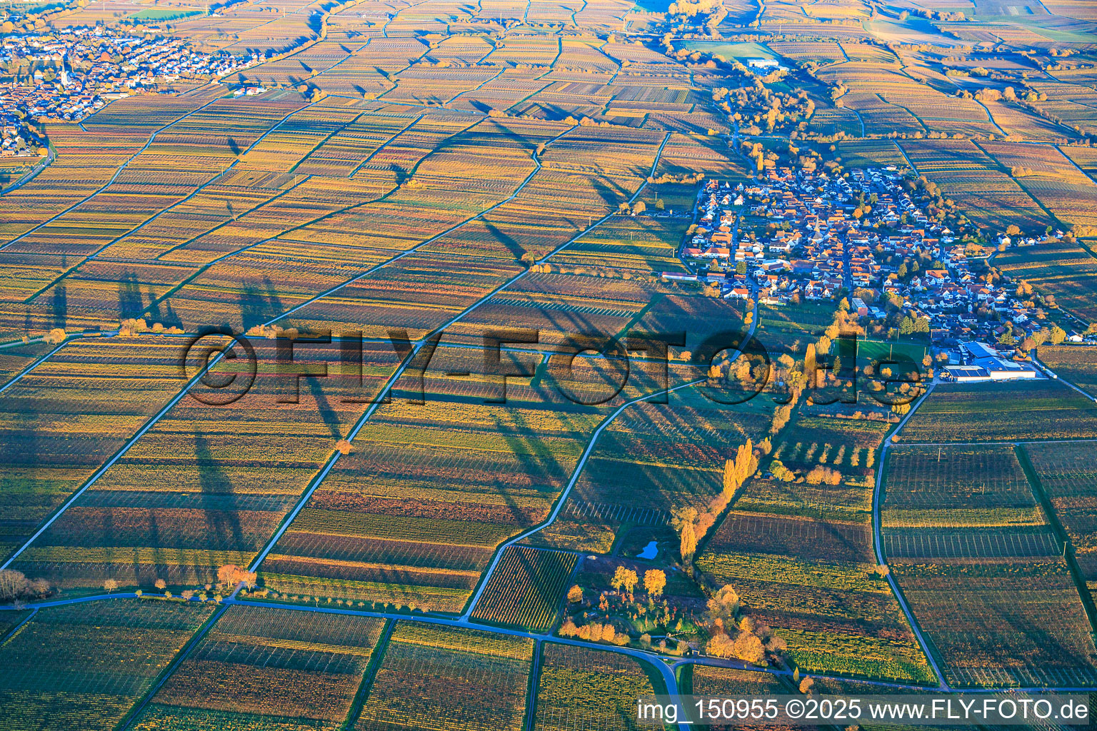 Vue aérienne de Vue du village depuis l'ouest, niché entre des vignobles aux teintes automnales, dans la lumière du soir. à Roschbach dans le département Rhénanie-Palatinat, Allemagne