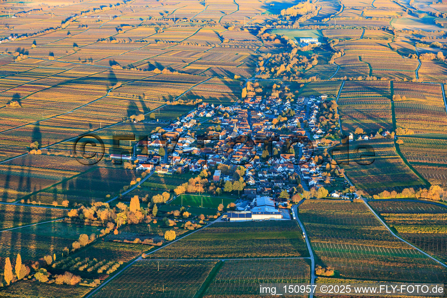 Vue aérienne de Vue du village depuis l'ouest, niché entre des vignobles aux teintes automnales, dans la lumière du soir. à Roschbach dans le département Rhénanie-Palatinat, Allemagne