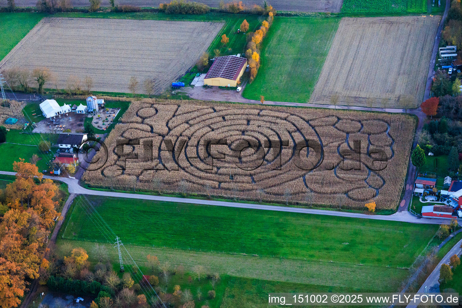 Vue aérienne de Silo 9 Labyrinthe de maïs Seehof à Steinweiler dans le département Rhénanie-Palatinat, Allemagne