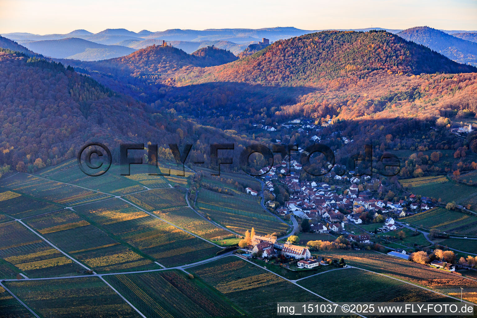 Vue aérienne de Du sud-est à Leinsweiler dans le département Rhénanie-Palatinat, Allemagne