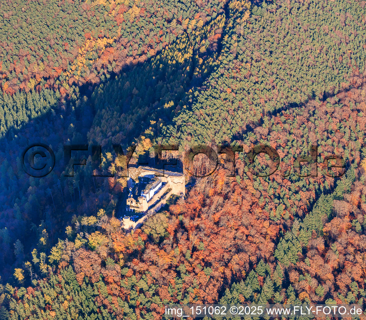 Vue aérienne de Ruines du château de Neuscharfeneck dans la forêt automnale à Flemlingen dans le département Rhénanie-Palatinat, Allemagne