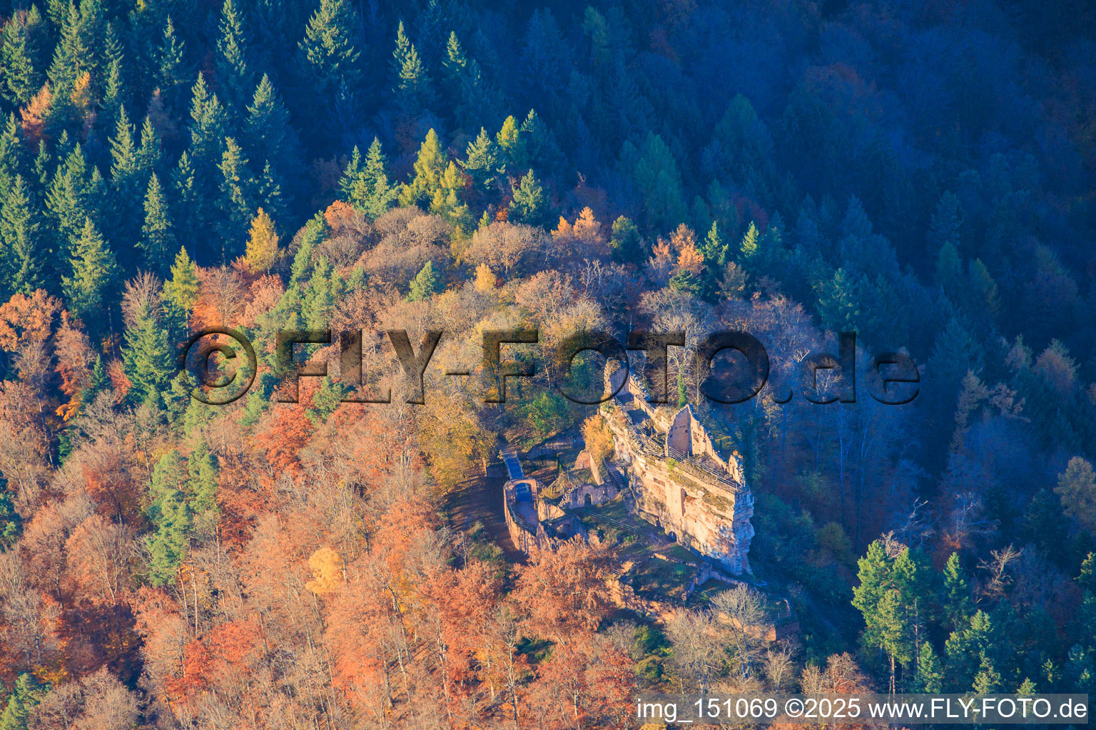 Photographie aérienne de Ruines du château de Meisteresel dans la forêt automnale à Ramberg dans le département Rhénanie-Palatinat, Allemagne
