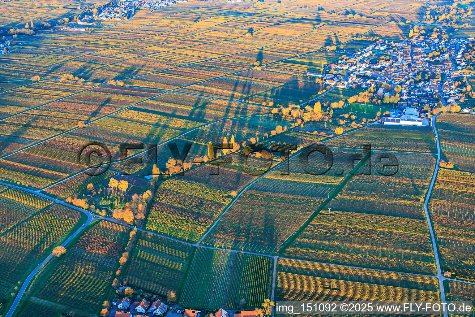Vue oblique de Vue du village depuis l'ouest, niché entre des vignobles aux teintes automnales, dans la lumière du soir. à Roschbach dans le département Rhénanie-Palatinat, Allemagne