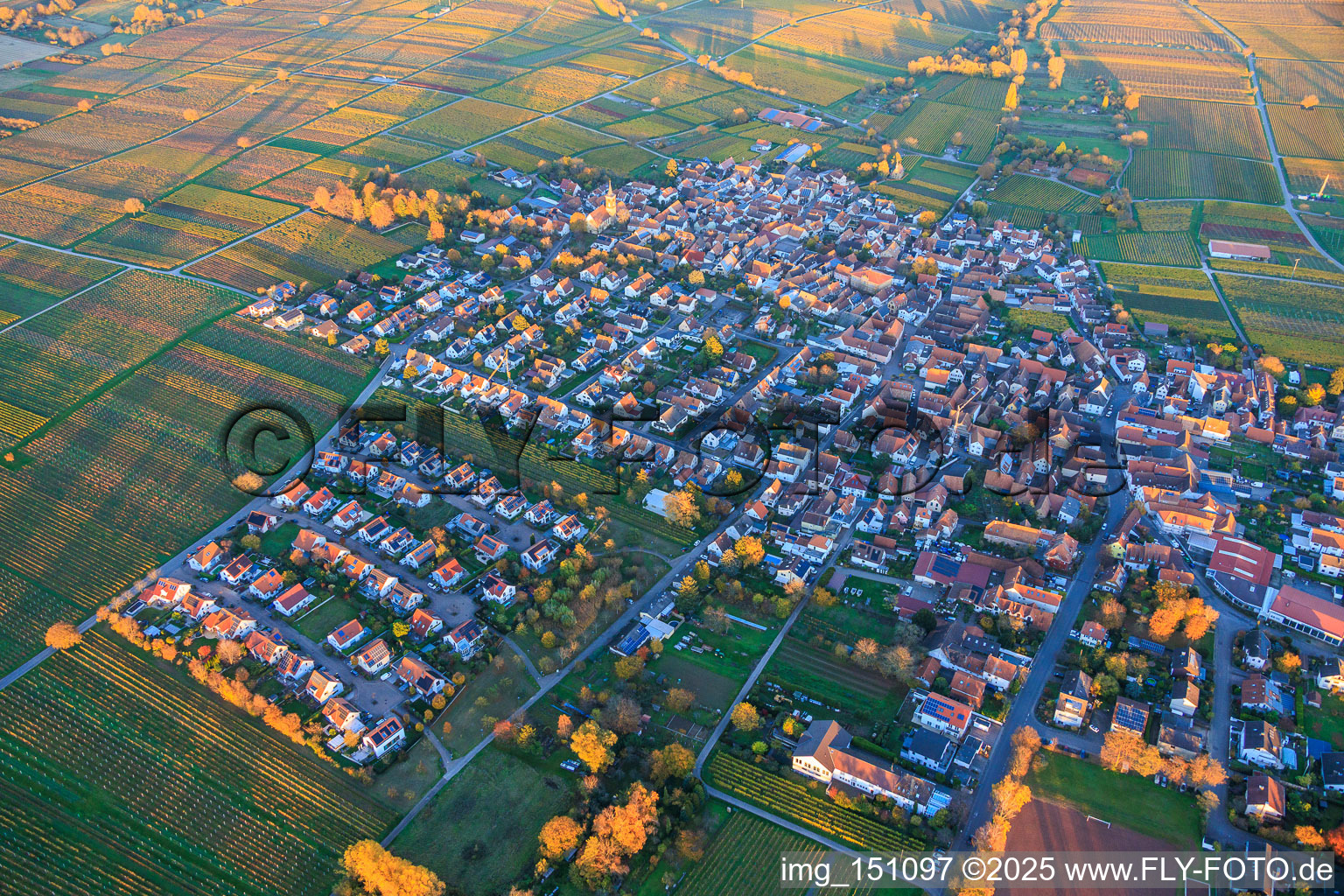 Vue aérienne de Vue du village au milieu des vignobles aux couleurs d'automne, depuis le sud-ouest, à la lumière du soir. à le quartier Nußdorf in Landau in der Pfalz dans le département Rhénanie-Palatinat, Allemagne