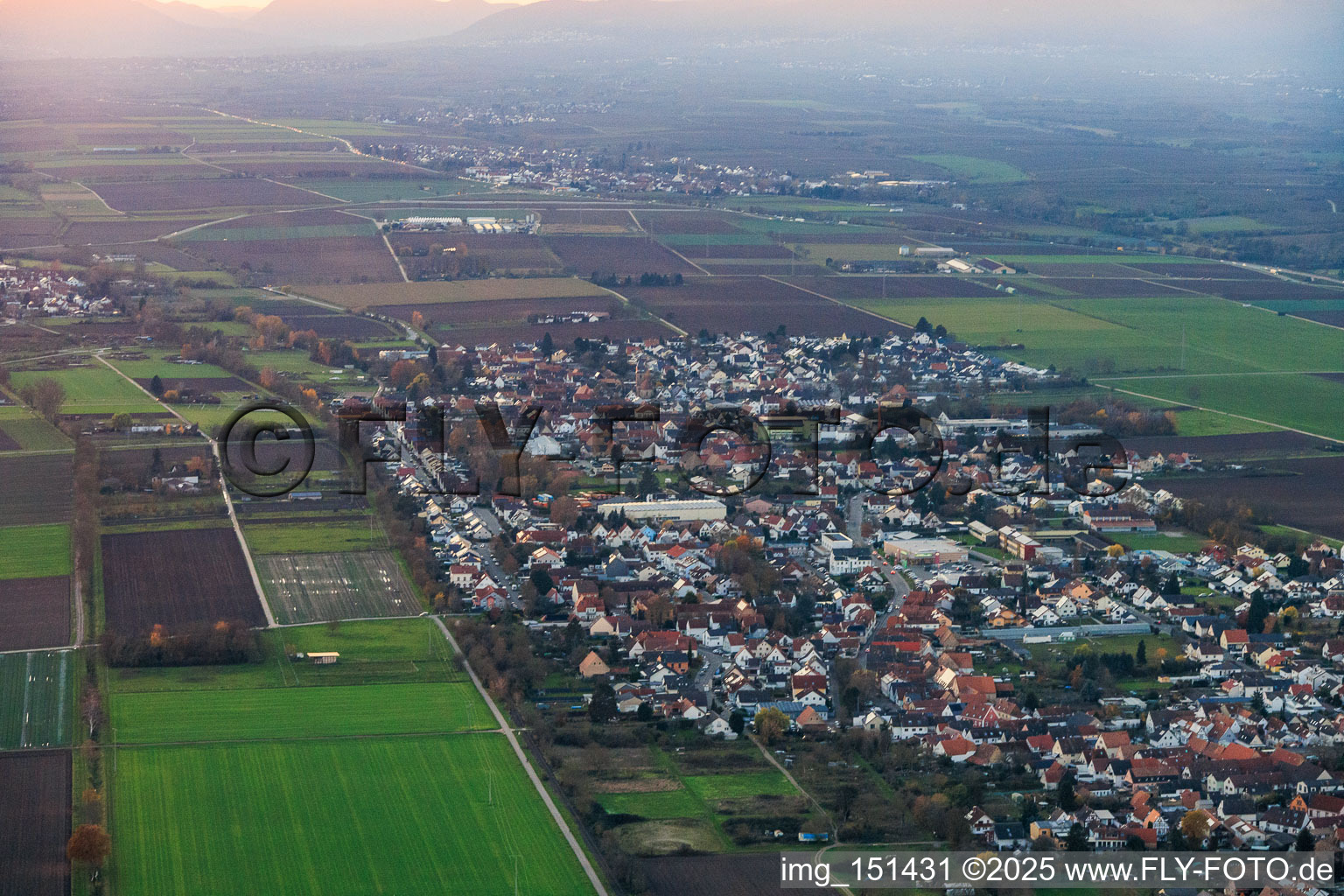 Vue aérienne de De l'est à le quartier Niederlustadt in Lustadt dans le département Rhénanie-Palatinat, Allemagne