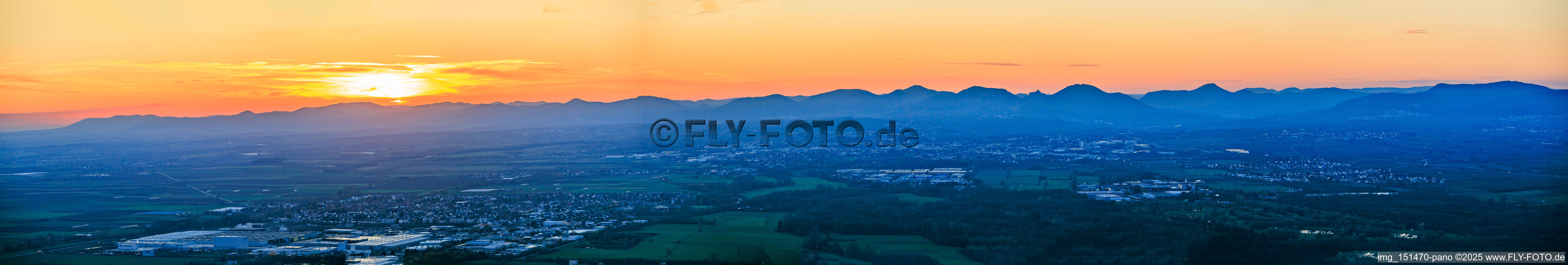 Vue aérienne de Lisière de la forêt palatine, de Schweigen à Albersweiler, sous la lumière du soir. à le quartier Gleiszellen in Gleiszellen-Gleishorbach dans le département Rhénanie-Palatinat, Allemagne