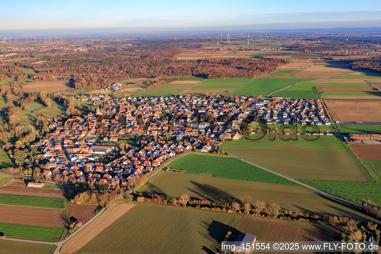 Vue aérienne de De l'ouest à Steinweiler dans le département Rhénanie-Palatinat, Allemagne